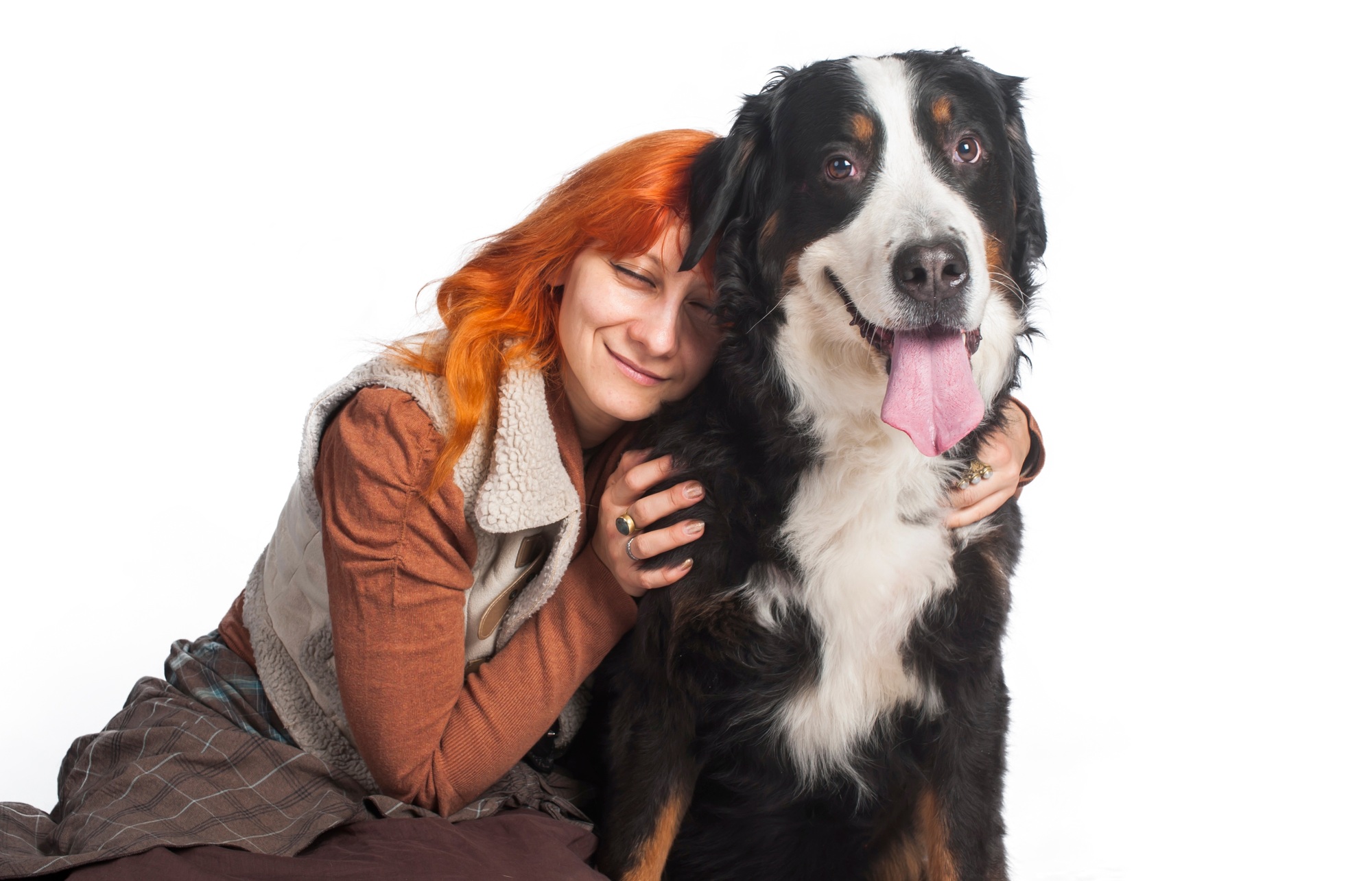 Girl hugging a large dog breed Bernese mountain dog on a white background